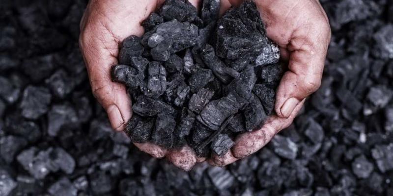 Justiça condena homem por recebimento e armazenamento de carvão ilegal em Cândido Sales