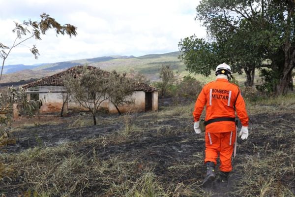 Mais de 510 mil hectares foram queimados em incêndios florestais na Bahia em 2023